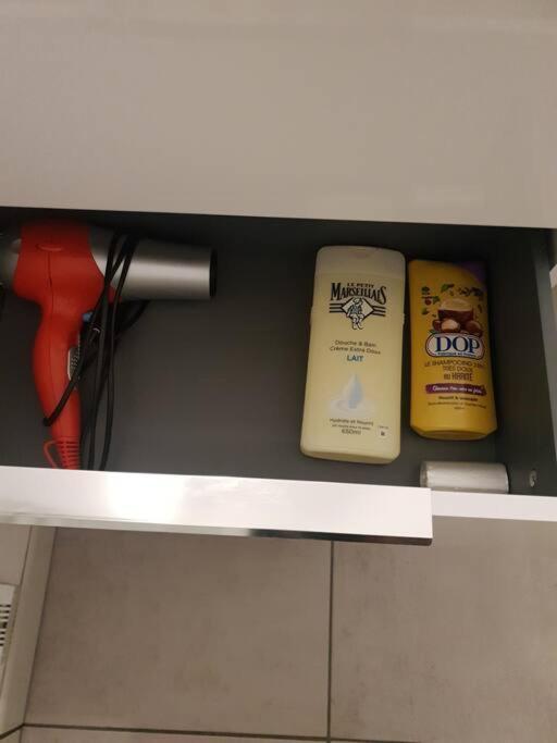 Le Cosy Du Faux Bourg Apartment Chalons en Champagne Luaran gambar