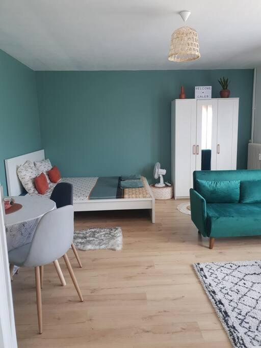 Le Cosy Du Faux Bourg Apartment Chalons en Champagne Luaran gambar