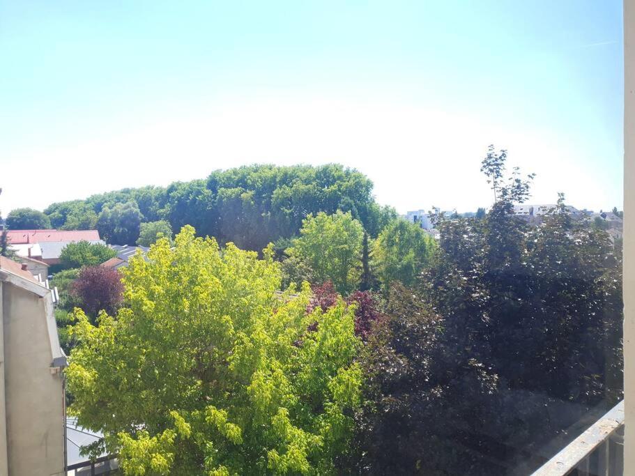 Le Cosy Du Faux Bourg Apartment Chalons en Champagne Luaran gambar